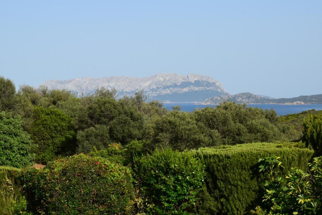 Sa Domitta Di Suiles Apartment Olbia Exterior foto