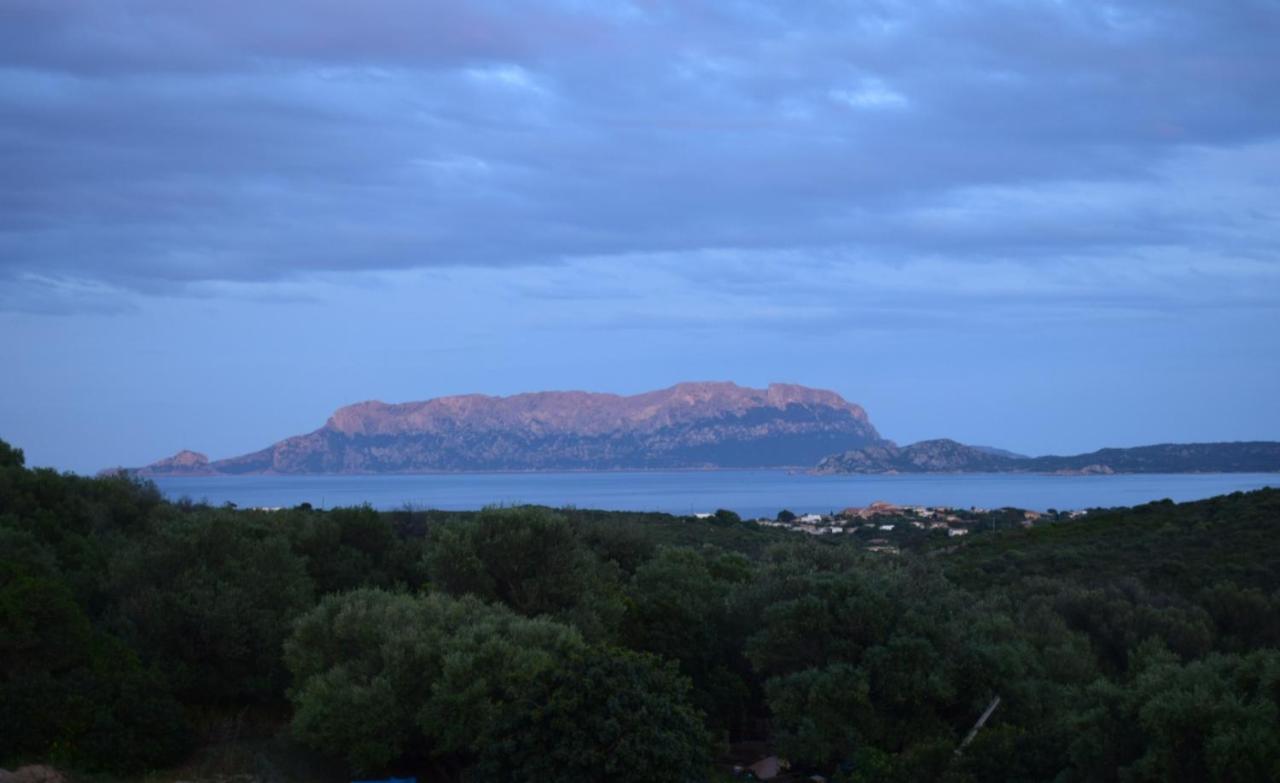 Sa Domitta Di Suiles Apartment Olbia Exterior foto